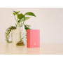 Внешний аккумулятор [Xiaomi] Power Bank 10400 mAh, pink