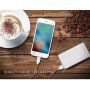Внешний аккумулятор [Yoobao] Power Bank 10000 mAh PL10