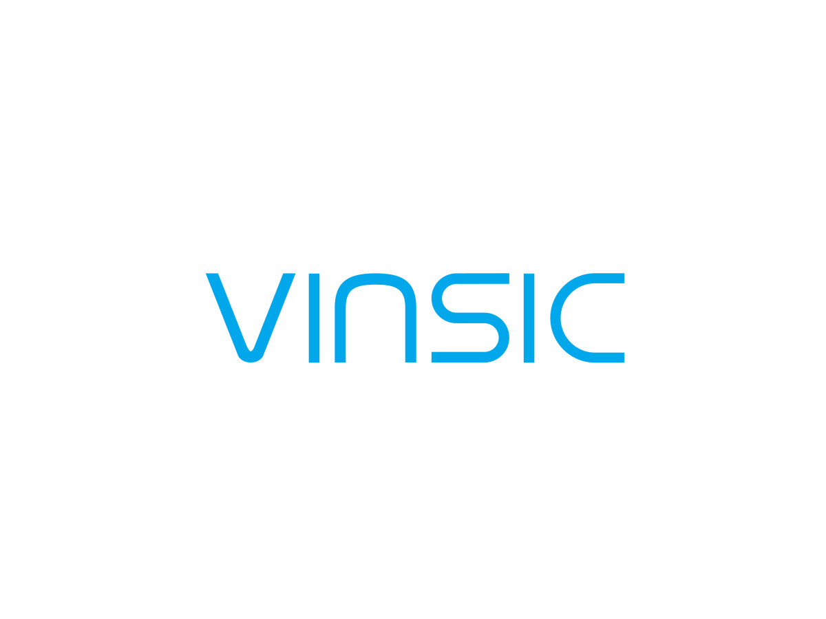 Обзор компании VINSIC
